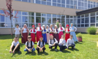 Slika